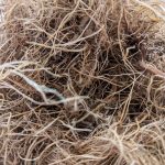 fiber_1